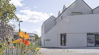 Programme Local d'activités