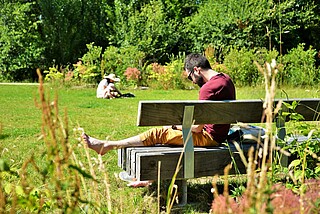 Programme Les Folies Saint-Martin • Habitat partagé